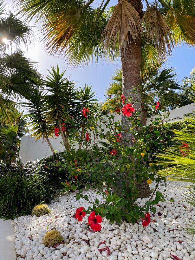 Superior Apartment For Golf, Sea And Nature Lovers Casares Extérieur photo